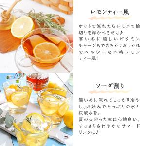 レモン&ハニールイボスティー 2.5g×30包...の詳細画像4