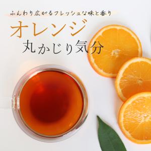 ネーブルオレンジルイボスティー 30包 大容量...の詳細画像1