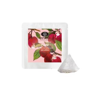 [Petit Pack] プラムルイボスティー 1.5ｇ×5包 ルイボスティー フレーバーティー ハーブティー 茶葉 ノンカフェイン H&F BELX [M便 1/10]