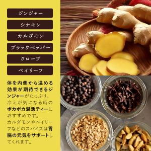 ジンジャーチャイルイボスティー 2.0g×10...の詳細画像3