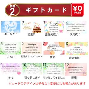 プチギフト スープ ギフト 3杯分 敬老の日 ...の詳細画像4