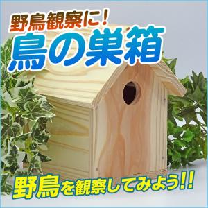 鳥の巣箱 野鳥工作キットAの詳細画像1