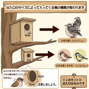 鳥の巣箱 野鳥工作キットA 鳥 巣箱 エサ台 ...の詳細画像4