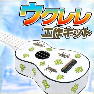 夏休み 工作 ウクレレ 手作り 手作り楽器 / 自由研究 キ...