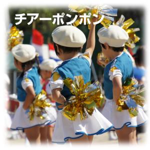 運動会 チアーポンポン1組(2個)セット