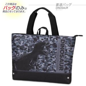 バッグのみ レッスンバッグ genius girl ジーニアスガール 小学校 入学