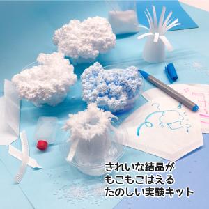 プラスクリュー (プラスチック製 スクリュー セット) / 夏休み 工作