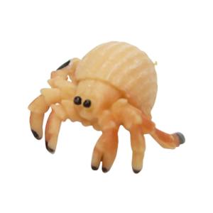 サファリ(safari)　ミニヤドカリ　342822 ハンズ｜hands-net