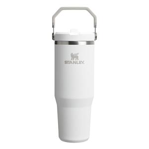 スタンレー（STANLEY）　アイスフローフリップストロー真空タンブラー　0.88L　フロスト ハンズ｜hands-net