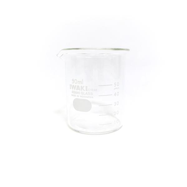 ビーカー　50mL ハンズ