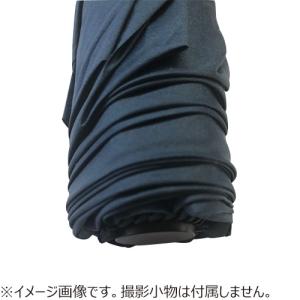 星野商店 ミニ傘用石突 オスタイプ 細6mm ハンズの詳細画像1