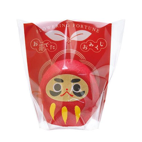 聖新陶芸　おめでたおみくじ　だるま赤　GD328−1 ハンズ