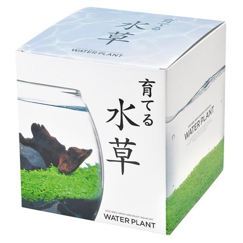 聖新陶芸　育てる水草　L　GD813 ハンズ