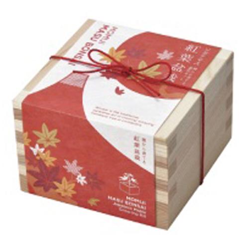 聖新陶芸　ソダテマス　盆栽栽培セット　紅葉　GD−846−03 ハンズ