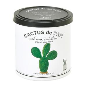 聖新陶芸　カクタスdeカクタス　ウチワサボテン ハンズ