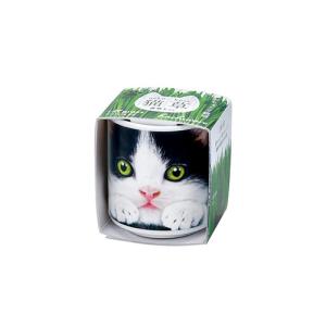 聖新陶芸　おちょこで猫草　GD1029−2　黒 ハンズ