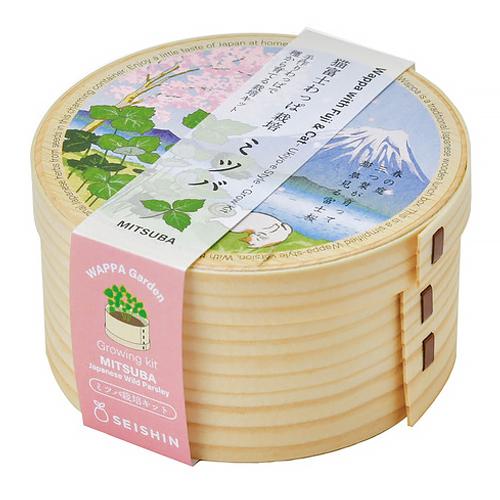 聖新陶芸　猫富士わっぱ　ミツバ　GD1050-1 ハンズ