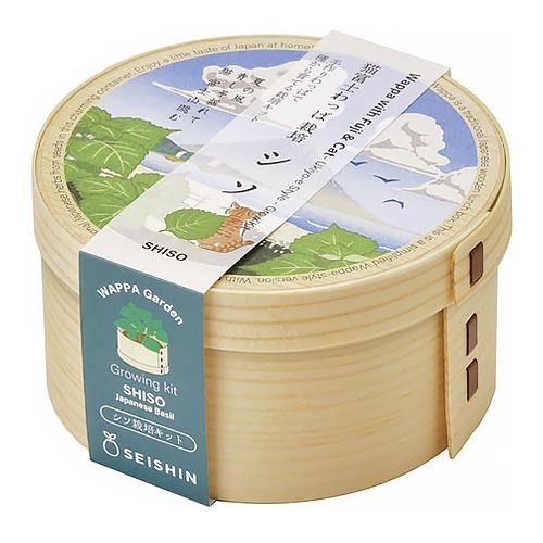 聖新陶芸　猫富士わっぱ　シソ　GD1050-2 ハンズ