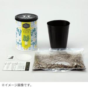聖新陶芸 ティーガーデン GD1054-2 レ...の詳細画像2