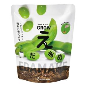 聖新陶芸　野菜栽培キット　ベジパック　GD1058-1　枝豆 ハンズ