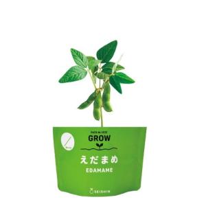 聖新陶芸 野菜栽培キット ベジパック GD10...の詳細画像1