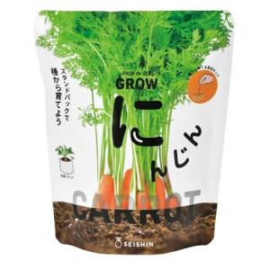 聖新陶芸　野菜栽培キット　ベジパック　GD1058-2　ミニキャロット ハンズ