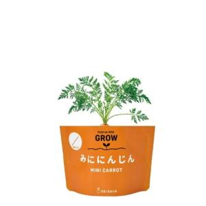 聖新陶芸 野菜栽培キット ベジパック GD10...の詳細画像1