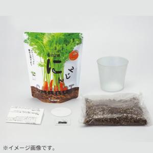 聖新陶芸 野菜栽培キット ベジパック GD10...の詳細画像2