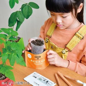聖新陶芸 野菜栽培キット ベジパック GD10...の詳細画像3