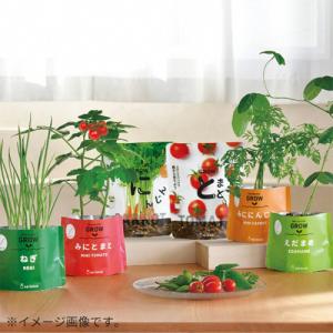 聖新陶芸 野菜栽培キット ベジパック GD10...の詳細画像4