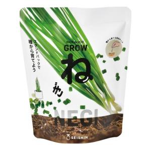 聖新陶芸　野菜栽培キット　ベジパック　GD1058-3　ネギ ハンズ