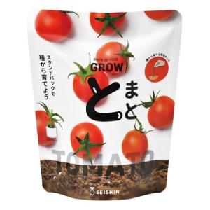 聖新陶芸　野菜栽培キット　ベジパック　GD1058-4　ミニトマト ハンズ