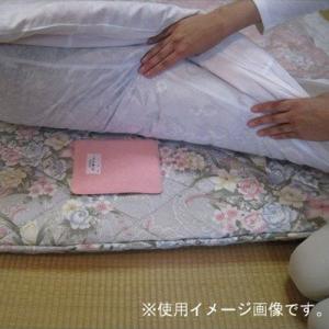 日革研究所 ダニ捕りマット 大2枚組 ピンク ハンズの詳細画像3