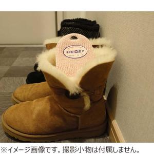 日革研究所 ダニ捕りロボ プチ 2個セット ハンズの詳細画像2