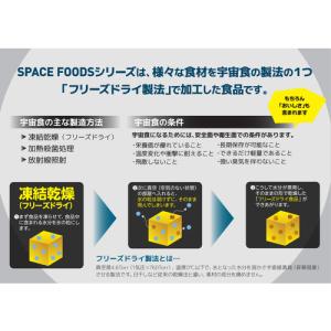 BCC スペースアイスクリーム バニラアイス ...の詳細画像2