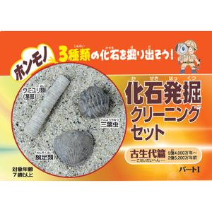 東京サイエンス　化石発掘クリーニングセット　古生代編 ハンズ｜hands-net