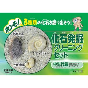 東京サイエンス　化石発掘クリーニングセット　中生代編 ハンズ｜hands-net