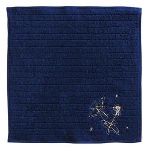 グリーンフラッシュ STUDY HOLIC タオルハンカチ ST−116 天文学│タオル ハンドタオル 東急ハンズ