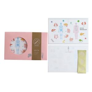 グリーンフラッシュ（GreenFlash）　STUDY　HOLIC　レターセット　ST−262　人類生物学 ハンズ｜hands-net