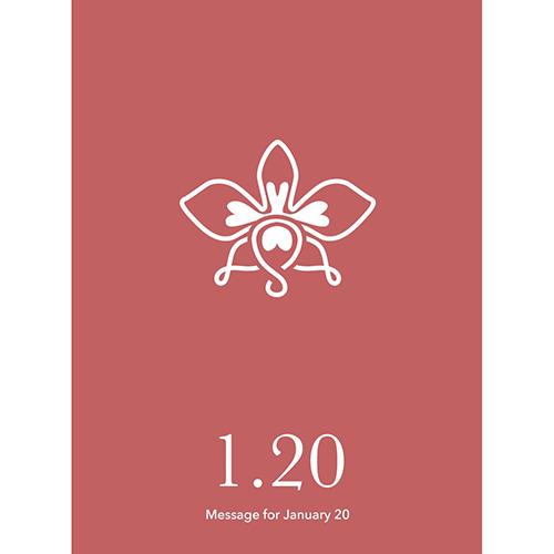 草紙堂　花結びメッセージカード　1月20日 ハンズ
