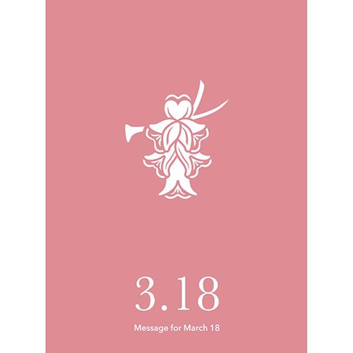 草紙堂　花結びメッセージカード　3月18日 ハンズ