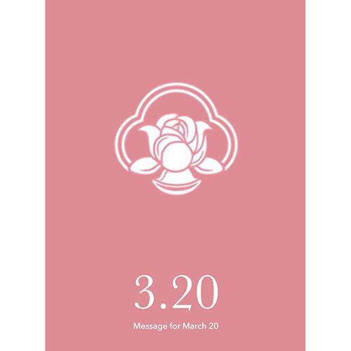 草紙堂　花結びメッセージカード　3月20日 ハンズ