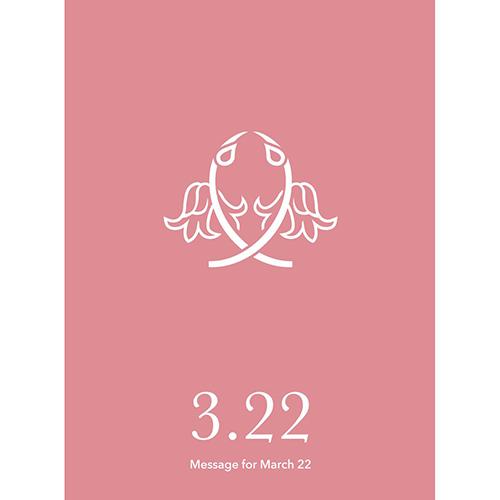 草紙堂　花結びメッセージカード　3月22日 ハンズ