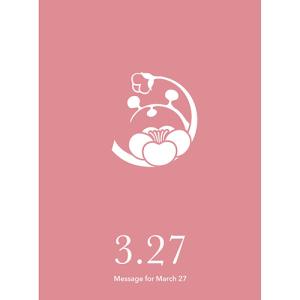 草紙堂　花結びメッセージカード　3月27日 ハンズ｜hands-net