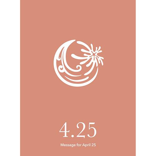草紙堂　花結びメッセージカード　4月25日 ハンズ
