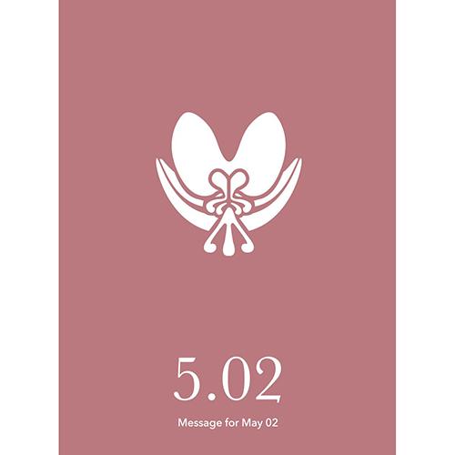 草紙堂　花結びメッセージカード　5月2日 ハンズ