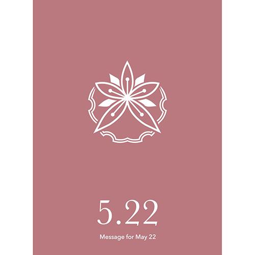 草紙堂　花結びメッセージカード　5月22日 ハンズ