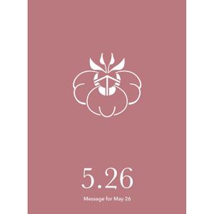 草紙堂　花結びメッセージカード　5月26日 ハンズ｜hands-net