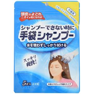 本田洋行　手袋シャンプー　介護用　5枚入　フルーティフローラルの香り ハンズ｜hands-net
