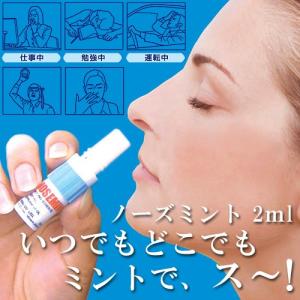 ノーズミント 2mL ハンズの詳細画像2